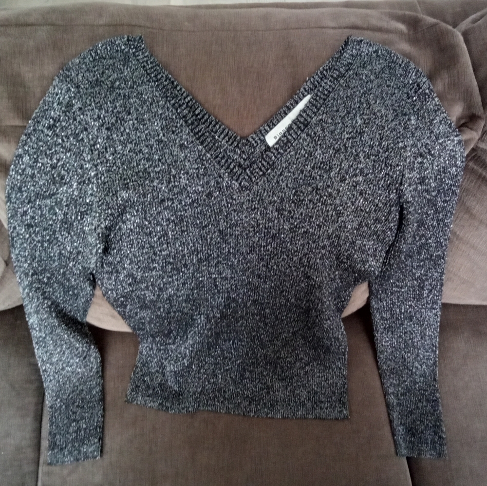 Bianca Nygard Glitter Silk Sweater M